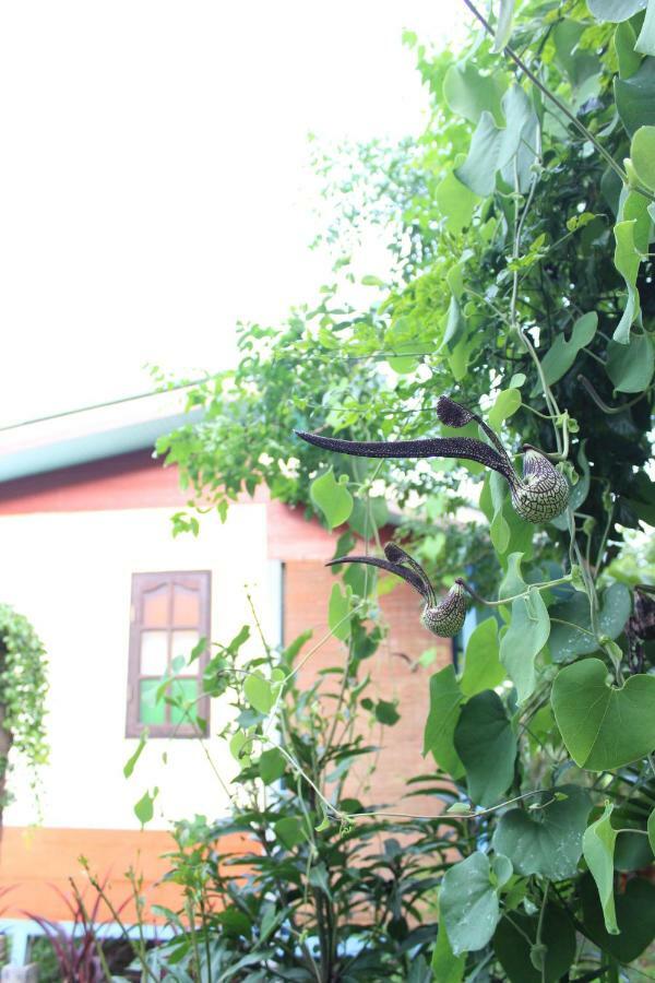 Pai Modern House Hotel ภายนอก รูปภาพ